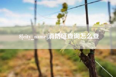冷水江消防证查询怎么查
