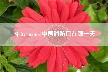 冷水江中国消防日在哪一天