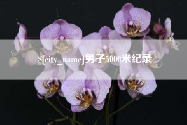 冷水江男子5000米纪录