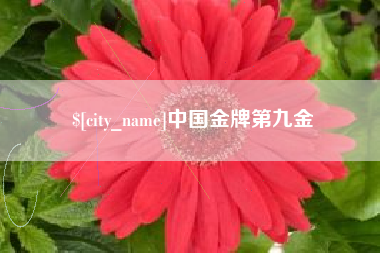 冷水江中国金牌第九金