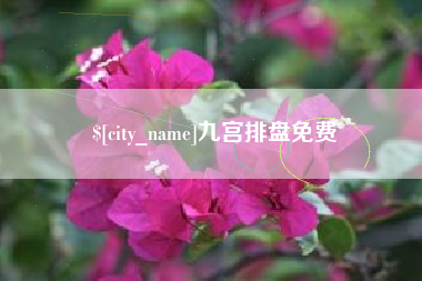 冷水江九宫排盘免费