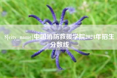 冷水江中国消防救援学院2024年招生分数线