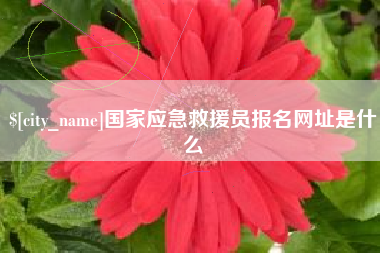 冷水江国家应急救援员报名网址是什么