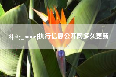 冷水江执行信息公开网多久更新
