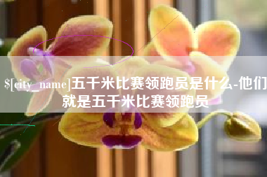 冷水江五千米比赛领跑员是什么-他们就是五千米比赛领跑员