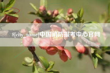 冷水江中国消防报考中心官网