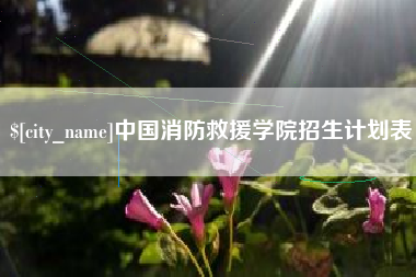 冷水江中国消防救援学院招生计划表