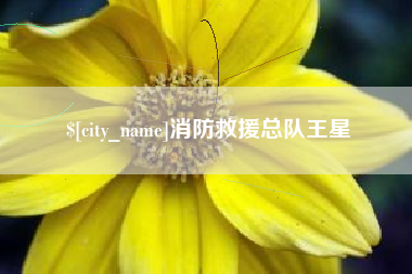 冷水江消防救援总队王星