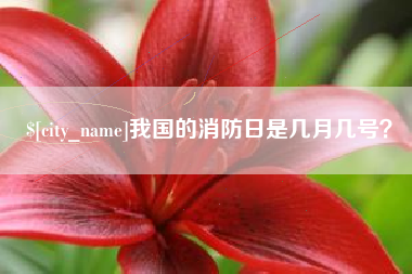 冷水江我国的消防日是几月几号？