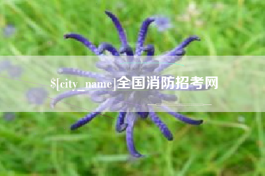 冷水江全国消防招考网