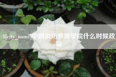 冷水江中国消防救援学院什么时候政审