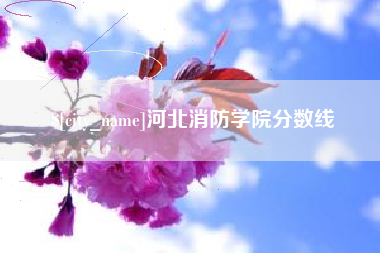 冷水江河北消防学院分数线