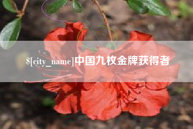 冷水江中国九枚金牌获得者