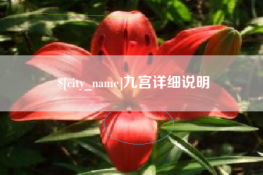 冷水江九宫详细说明