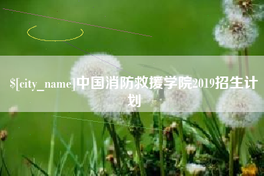 冷水江中国消防救援学院2019招生计划