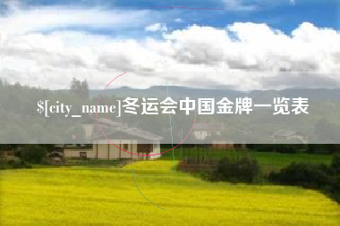 冷水江冬运会中国金牌一览表