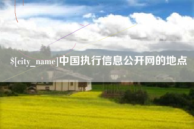 冷水江中国执行信息公开网的地点