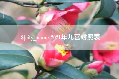 冷水江2021年九宫对照表
