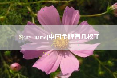 冷水江中国金牌有几枚了