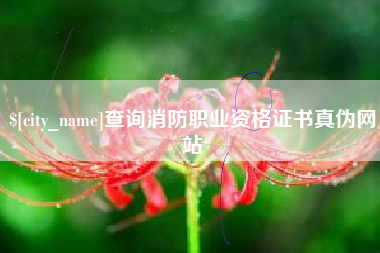 冷水江查询消防职业资格证书真伪网站