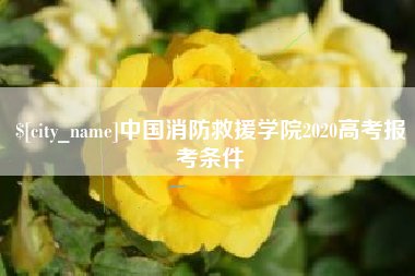 冷水江中国消防救援学院2020高考报考条件