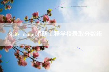 冷水江消防工程学校录取分数线