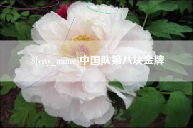 冷水江中国队第八块金牌