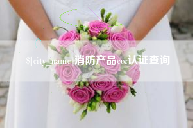 冷水江消防产品ccc认证查询