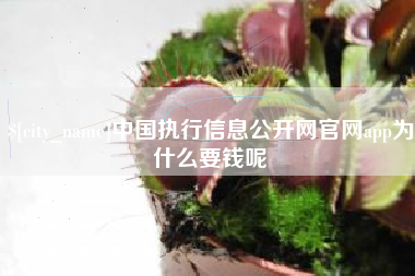 冷水江中国执行信息公开网官网app为什么要钱呢