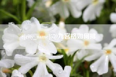 冷水江579九宫格如何排
