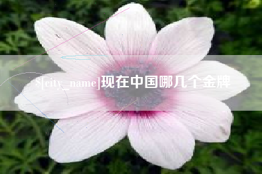 冷水江现在中国哪几个金牌