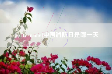 冷水江中国消防日是哪一天