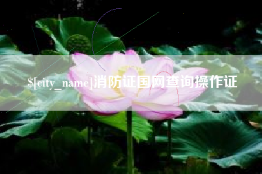 冷水江消防证国网查询操作证