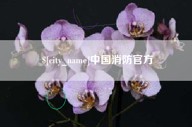 冷水江中国消防官方