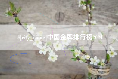 冷水江中国金牌排行榜2024