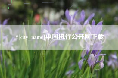 冷水江中国执行公开网下载