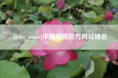 冷水江中国消防官方网站域名