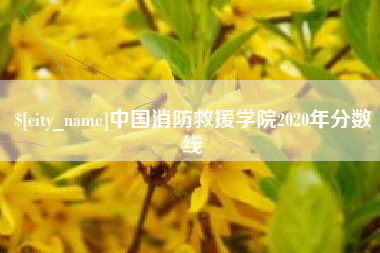 冷水江中国消防救援学院2020年分数线