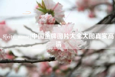 冷水江中国金牌图片大全大图真实高清