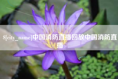 冷水江中国消防直播回放中国消防直播