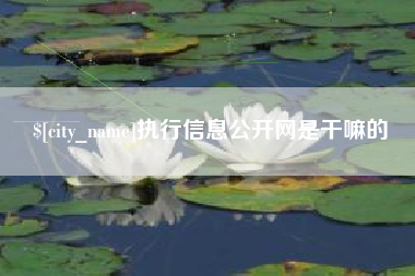 冷水江执行信息公开网是干嘛的