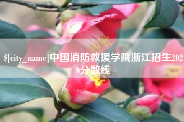冷水江中国消防救援学院浙江招生2020分数线
