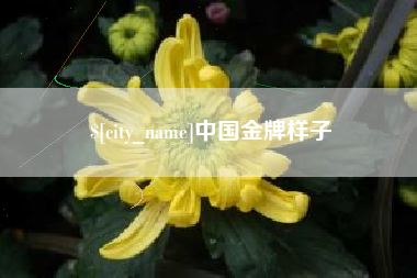 冷水江中国金牌样子