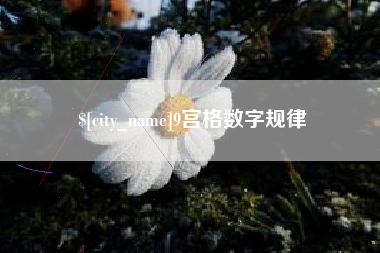 冷水江9宫格数字规律