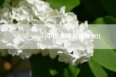 冷水江中国金牌有哪些2021