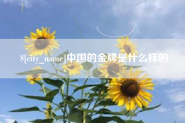 冷水江中国的金牌是什么样的