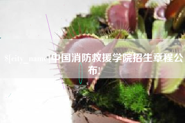 冷水江中国消防救援学院招生章程公布!