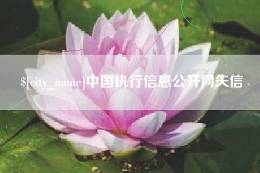 冷水江中国执行信息公开网失信