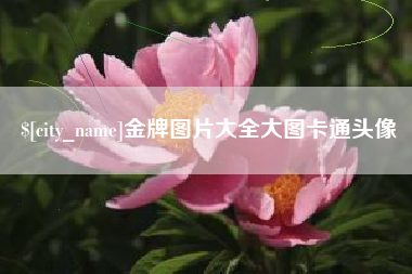 冷水江金牌图片大全大图卡通头像