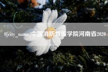 冷水江中国消防救援学院河南省2020